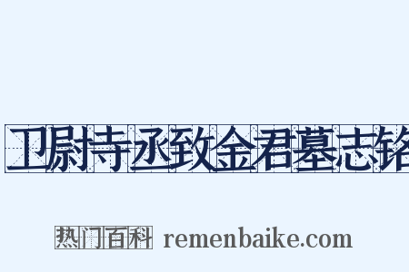 卫尉寺丞致金君墓志铭是什么意思的图片